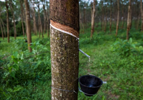 The Impact of the Best Rubber on the Environment